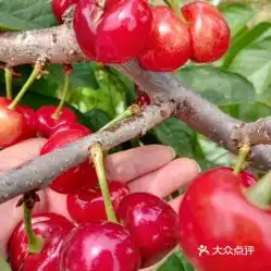 电话,地址,价格,营业时间