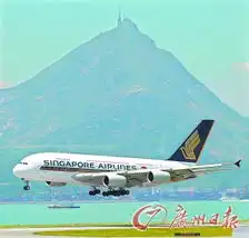 发动机现油渍新航停飞a380