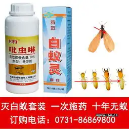 白蚁药哪里有卖治白蚁药防白蚁药的方法