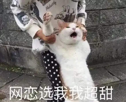 还是曹操懂什么叫真正的欢乐