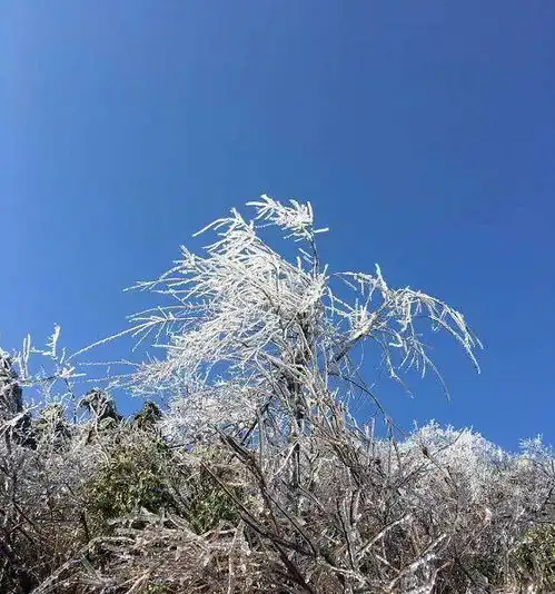 最低气温5,永康成为冰世界晶莹剔透的冰凌冰挂,真美