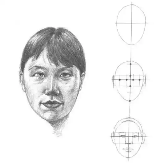 素描人物面部要怎么画