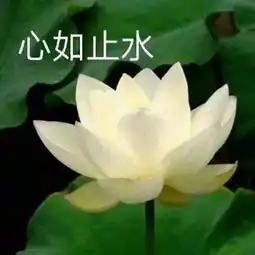马拉松人体彩绘情侣兔拥吻低俗情色还是他人别有用心