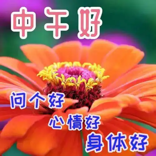 中午好图片大全,中午好祝福图片,祝您心情舒畅午安