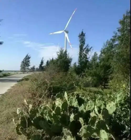 南极村海角风景道,入选湛江最美旅游风景道啦