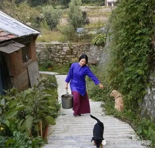 终南山隐居姑娘,还没有修道成仙,却先败在了山上的房租上