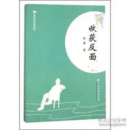 孔网分类