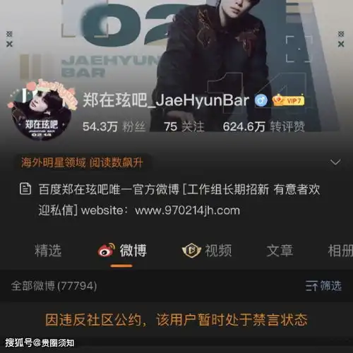 lisa朴彩英多名韩娱艺人后援会被禁言,整治韩娱饭圈乱象