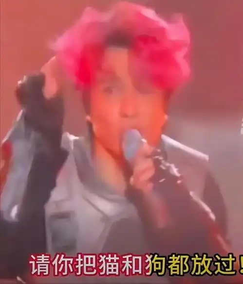 薛之谦演唱会改词为流浪狗发声被网友怒喷狗命比人命重要