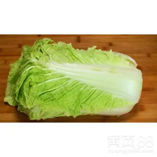 蔬菜检测,白菜检测,郑州市第三方检测机构,食品检测,真有甲醛白菜嘛