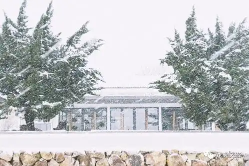 无问西东静心听雪拍美图住美宿这场大雪约你一组童话金陵大片可好