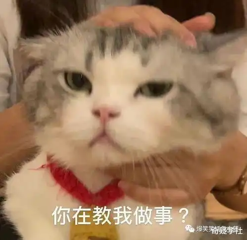 幽默段子既然你没有女朋友,就让我练练手吧