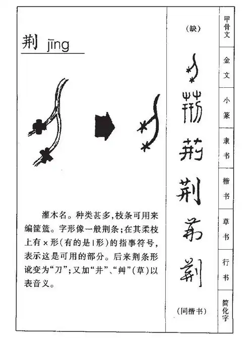 荆的意思荆字五行属什么荆字取名的寓意