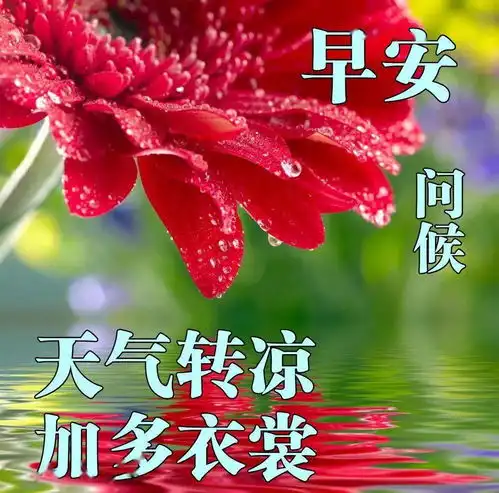 2020秋天早安暖心话图片,美丽漂亮的早上好图片天气转凉,多穿衣裳