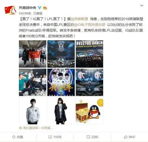 英雄联盟ig夺得世界赛冠军,粉丝感谢pdd培养ning王