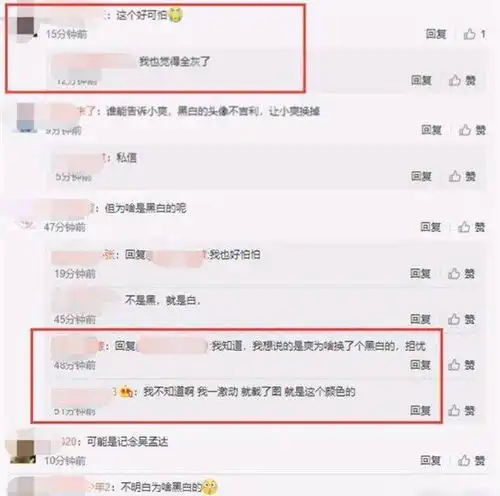 郑爽换黑白头像,灰色人生,网友留言为她担心受怕