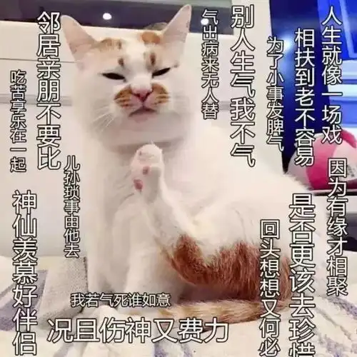 佛系圣诞不存在的