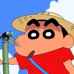 还有这种操作关于小新的你不知道的事实