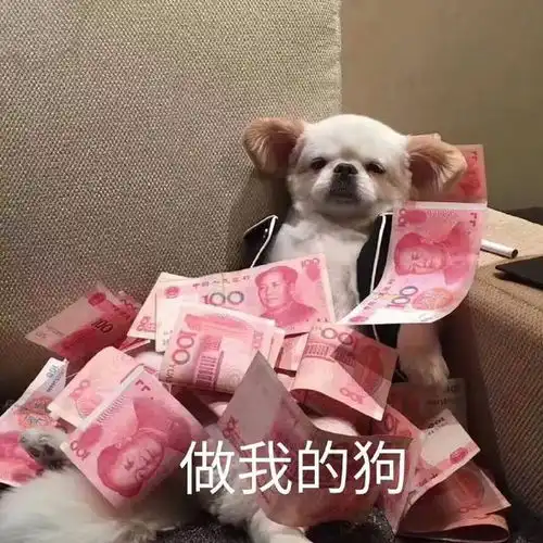 狗子表情包我要自杀,让你没有爸爸