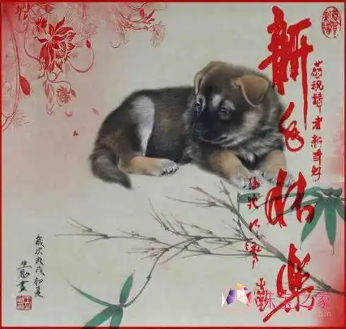2011年开门红十二生肖好运珠宝推荐