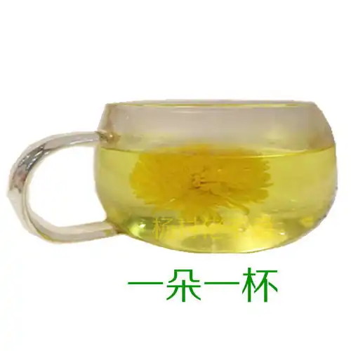 金丝皇菊一朵一杯徽州婺源黄菊组合装特级黄山贡菊茶叶菊花茶大花