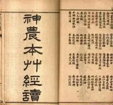 测试一个超长简介的文章