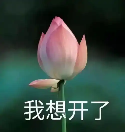 孩子不能打北大心理学教授教你如何科学揍娃