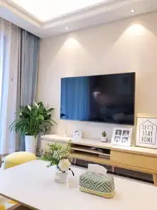 电视柜旁,摆什么绿植好看顺便科普些家庭绿植