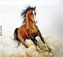 生肖马六月必有一喜,而且是喜上加喜