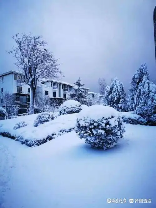 情报站一夜暴雪,烟台人的朋友圈离北极圈只差一道极光