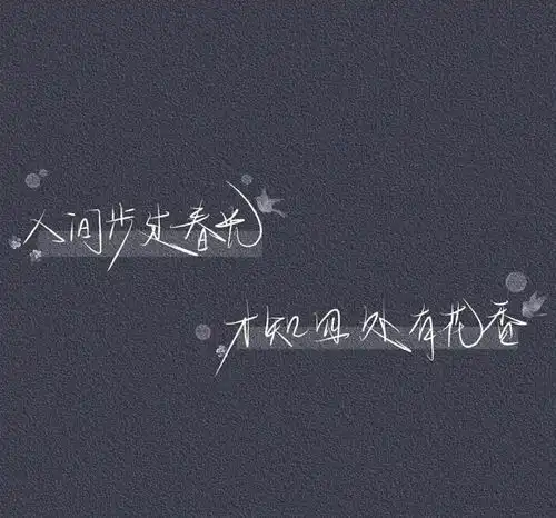 测试一个超长简介的文章