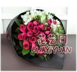 小王子玫瑰人生什么含义玫瑰花比喻什么人